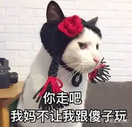你的猫做了什么让你觉得他真聪明
