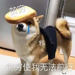 本人女,大一,跟我妈每月要4500的生活费,过分嘛图片