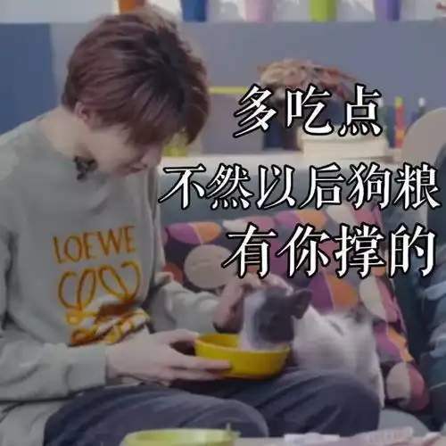 tfboys微信聊天表情包

