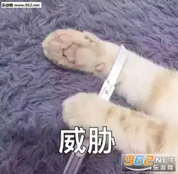 可把我能耐坏了猫咪傲娇表情包闭嘴吧你猫咪可爱表情包下载乐游网游戏下载
