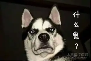 表情包大放送,何处窥视全新tiida的安全实力
