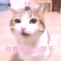 发表情表情包大全微信表情包qq表情包fabiaoqing.com
