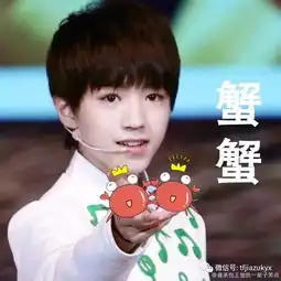 tfboys表情包
