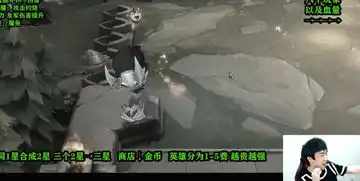 自走棋吃鸡太简单到不赢不下播,骚男实力演绎沙雕表情包
