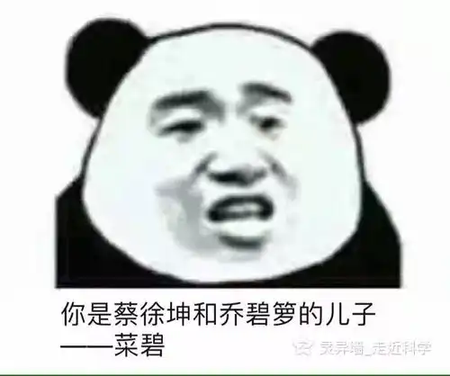 希望大家看了沙雕表情包可以开心开心
