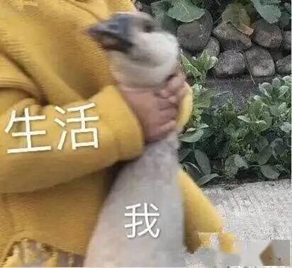 双非跨专业申请top50名校疫情阻挡,还好我没有投降
