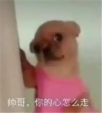 傻狗表情包什么意思这波