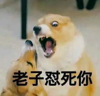 888集团欢迎光临welcome70082023已更新今日人民日报客户端天津频道

