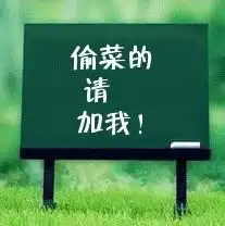 qq表情文字qq表情偷菜的请加我
