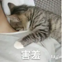 这个价格靠谱吗
