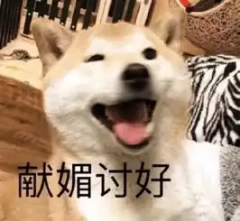 新奇的冷门宠物,它被误认为黄鼠狼,雪貂我明明那么可爱
