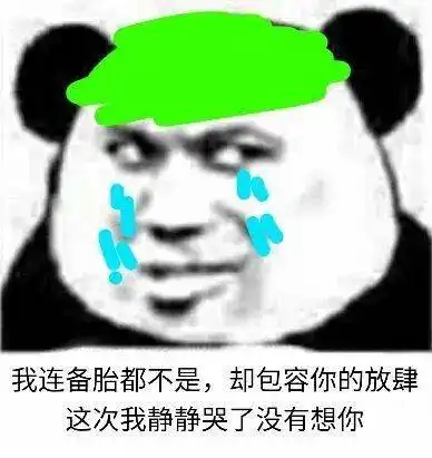 熊猫头表情包i这笔巨款不能再用了,留着过年
