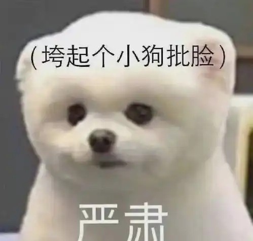 表情包说爱我一生一世

