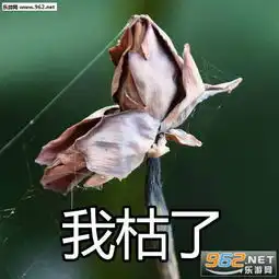 我想开了沙雕表情包我自闭了荷花表情包下载乐游网游戏下载
