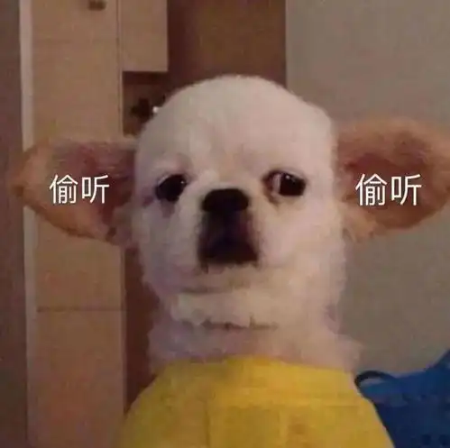 沙雕表情猫咪如花表情包二
