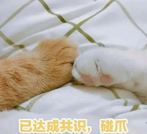每吃一个山竹,就会有一只猫咪失去它的小jiojio
