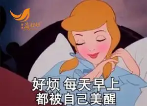 海参何来的高价底气
