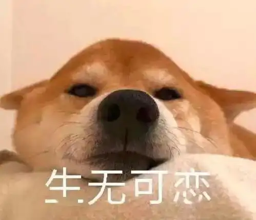 我为同学做件事研究生如何阅读文献,你应该知道的八个技巧

