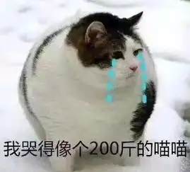 春分精分

