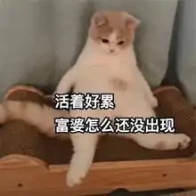 天门人挺住降温9雨雨雨更让天门人崩溃的还在后面
