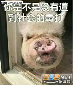 给大家拜个早年表情包图片自己人别开枪表情包下载乐游网游戏下载