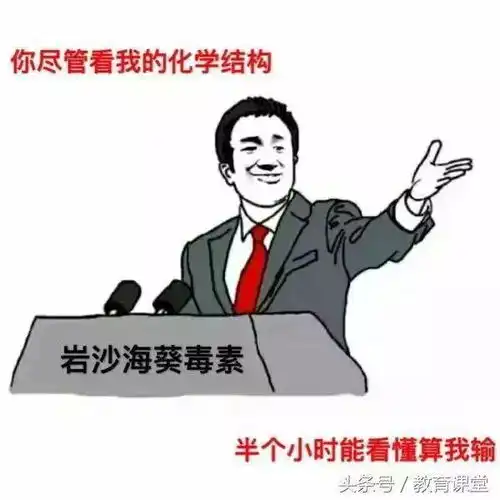 确认过表情包,是同一个专业的人
