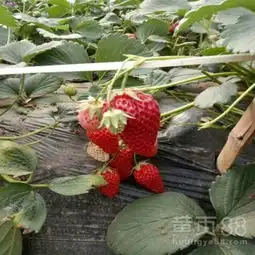 呼和浩特黄页88网
