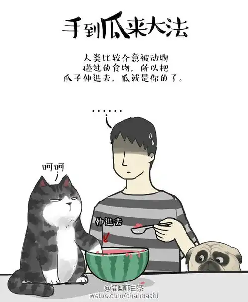吾皇巴扎黑少年日常
