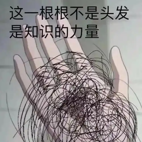 表情包出来聊天啊,搞得自己很忙一样
