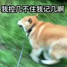 当你不想养狗的时候,要怎么办呢
