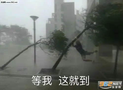 冲动就会白给表情包图片这是哪位可人儿表情包下载乐游网游戏下载
