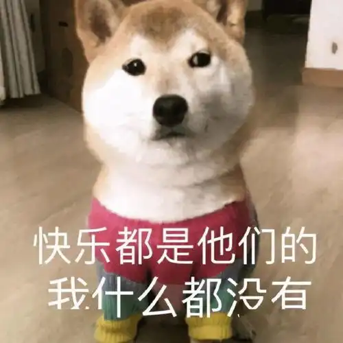 表情包我看你就是玩不起

