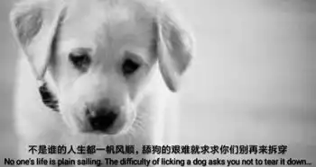 求求你别舔了贾天宁武磊西班牙人的畸形爱恋
