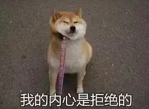 古代有顺手牵羊临海有顺手牵狗,只为博佳人一笑......
