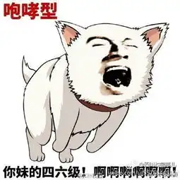 四六级表情包
