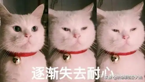 为什么大部分投资机构的投资回报跑输大盘
