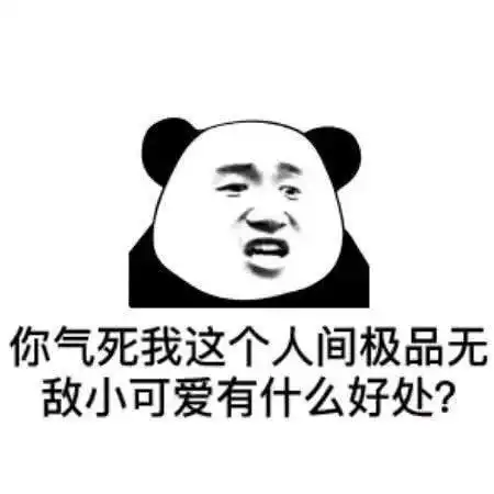 熊猫头表情包i是什么蒙蔽了我的双眼
