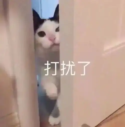 热门表情包大合集丨再说打你
