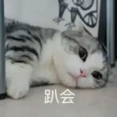记住一会见不要再说seeyoulater了
