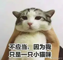 好久不见甚是想念

