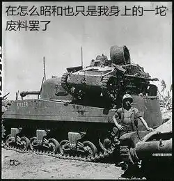 二战德军的表情包
