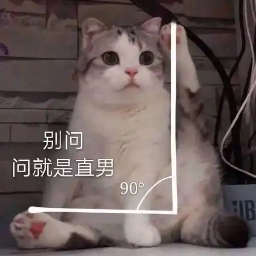 表情包别问,问就是直男
