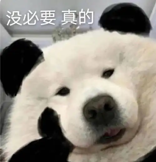 面对催婚和对我的单身阴阳怪气的同事可以发火吗
