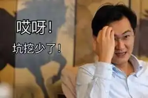 找人定位马化腾表情包的背后照片恒久远,表情永流传
