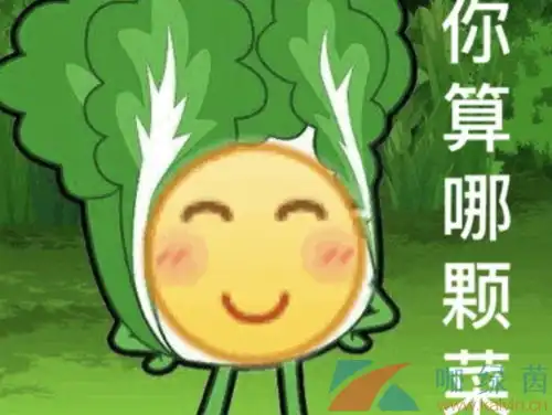 小趴菜是什么意思小趴菜梗的意思介绍咖绿茵手游站
