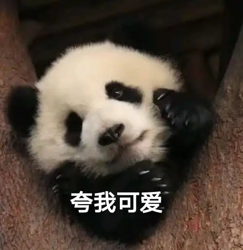 哔哩哔哩专栏
