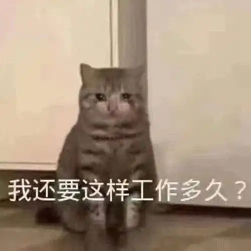 迷茫,有曾经是采购成功转行的么
