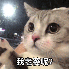 微信差点被封难道因为这表情包尺度太大
