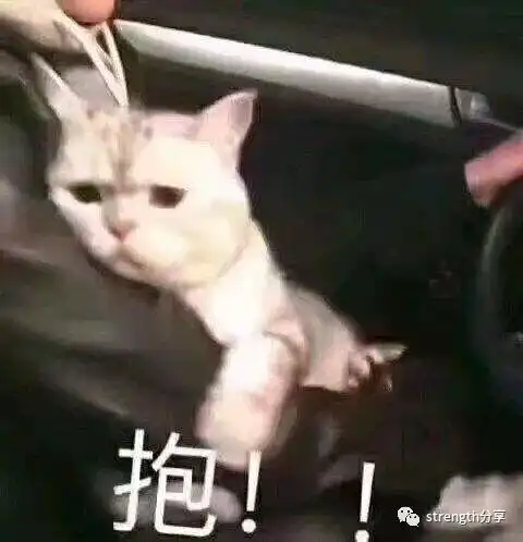 束腰带全面指南网红束腰带为何不能带
