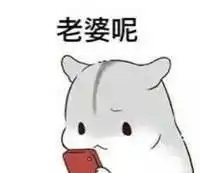 老婆仓鼠表情包